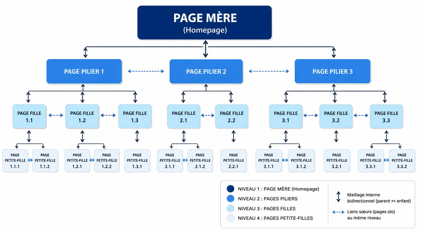 schema d'un cocoon semantique seo