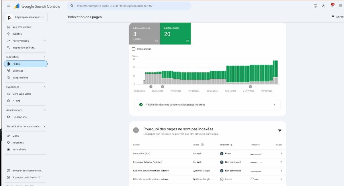 Rapport Pages dans Google Search Console montrant la répartition des URLs indexées et non indexées avec les raisons d'exclusion